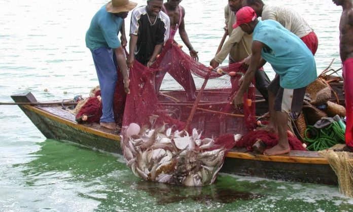 2021 Fishery Fleet Closure Begins On July 1