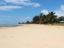 Beach Of Maryland County In Liberia