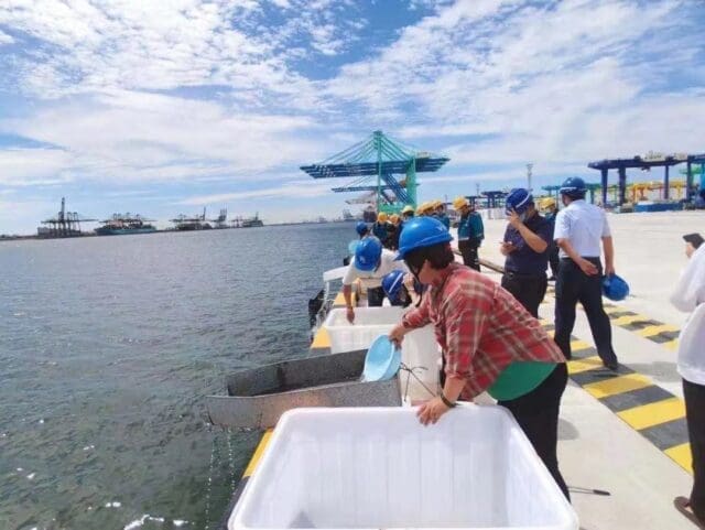 Tianjin sees improved marine biodiversity - Vimarsana News