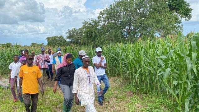 We are poised to feed Ghana – Out-grower farmers in Sissala - Vimarsana News