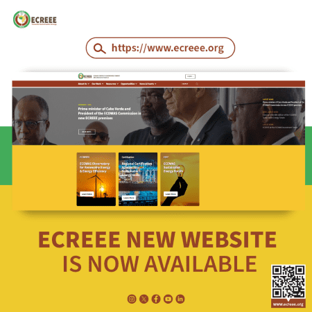 Website Launch Website Launch